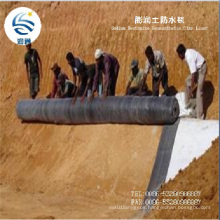 ASTM Standard Pet PP Polyethylene Geomembrane